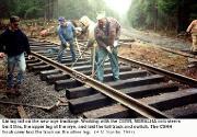 Volunteers doing track work